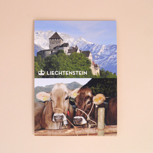 Postkarte &quot;Schloss &amp; Buschla&quot;