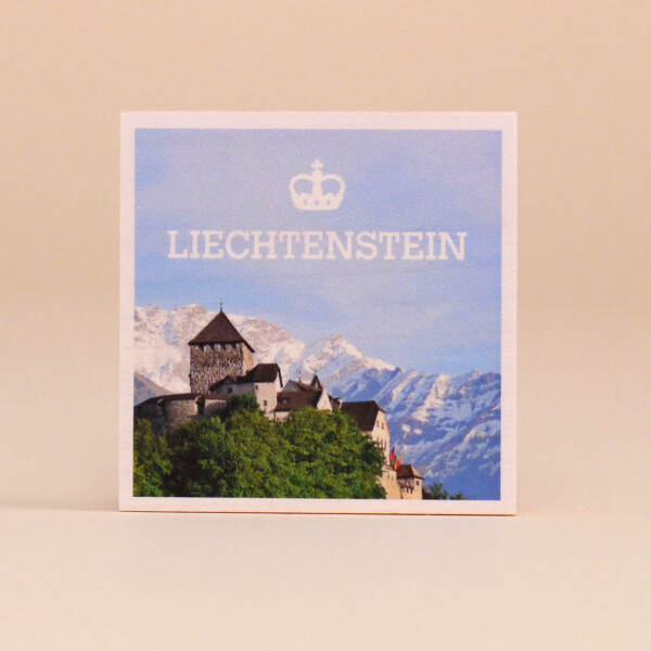 Holzmagnet Liechtenstein Schloss