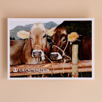 Magnet aus Holz Kuh Duo Liechtenstein