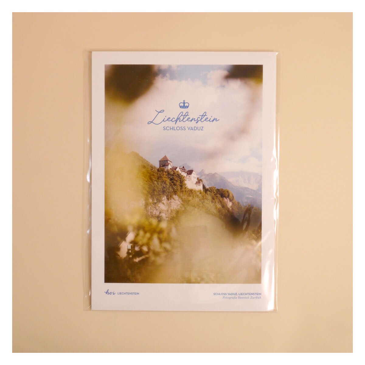 Hoi-Poster A4 – "Blick zum Schloss"