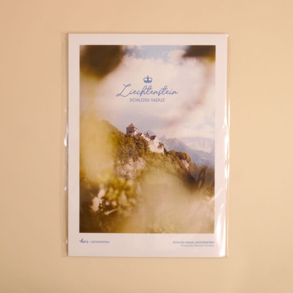 Hoi-Poster A4 – "Blick zum Schloss"