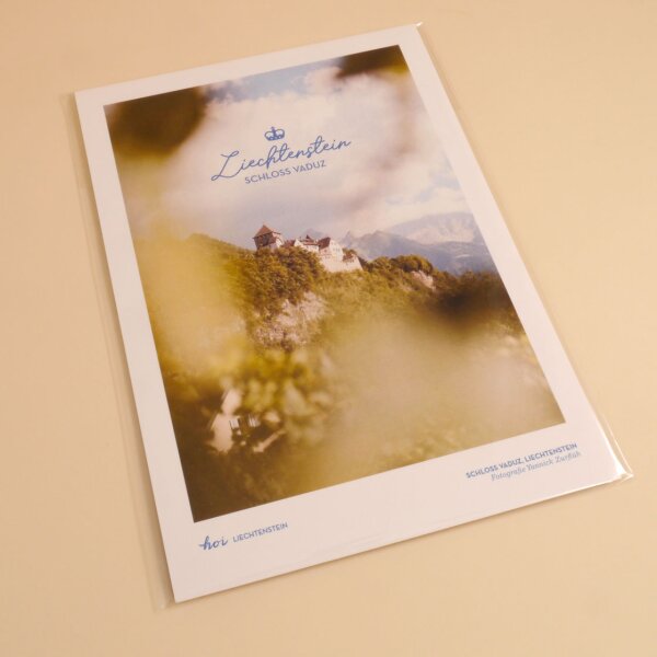 Hoi-Poster A4 – "Blick zum Schloss"