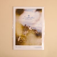 Hoi-Poster A4 – "Blick zum Schloss"
