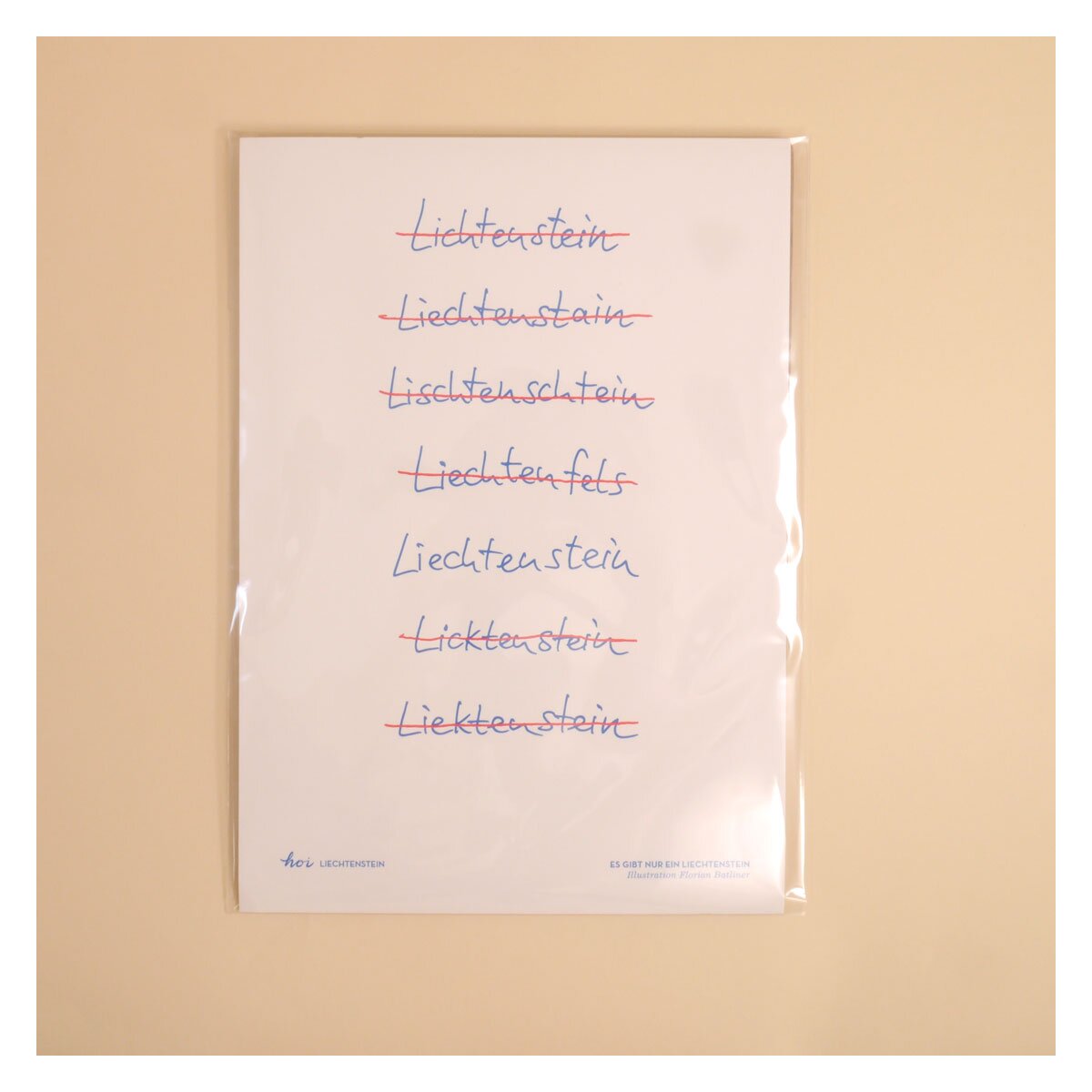 Hoi-Poster A4 – "Nur ein Liechtenstein"