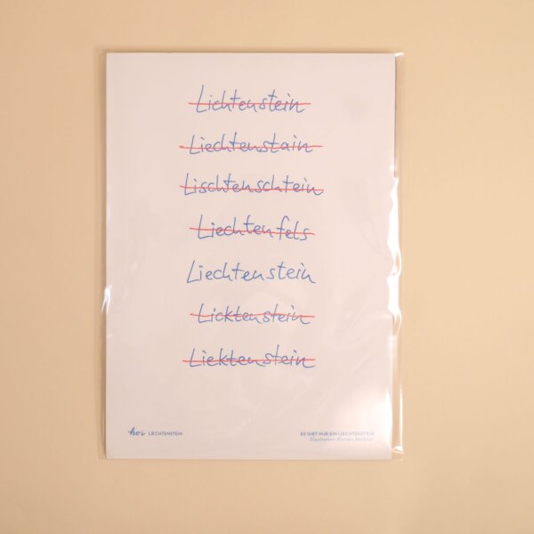 Hoi-Poster A4 – "Nur ein Liechtenstein"