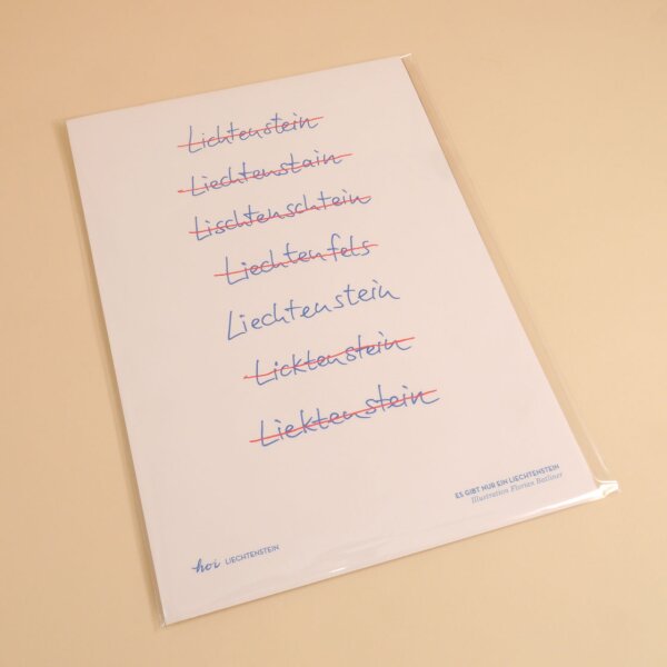 Hoi-Poster A4 – "Nur ein Liechtenstein"