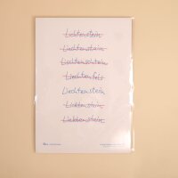 Hoi-Poster A4 – "Nur ein Liechtenstein"