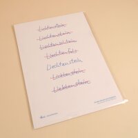 Hoi-Poster A4 – "Nur ein Liechtenstein"